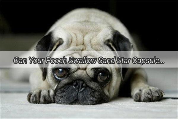 Can Your Pooch Swallow Sand Star Capsules Unveiling the Truth Behind Their Safety